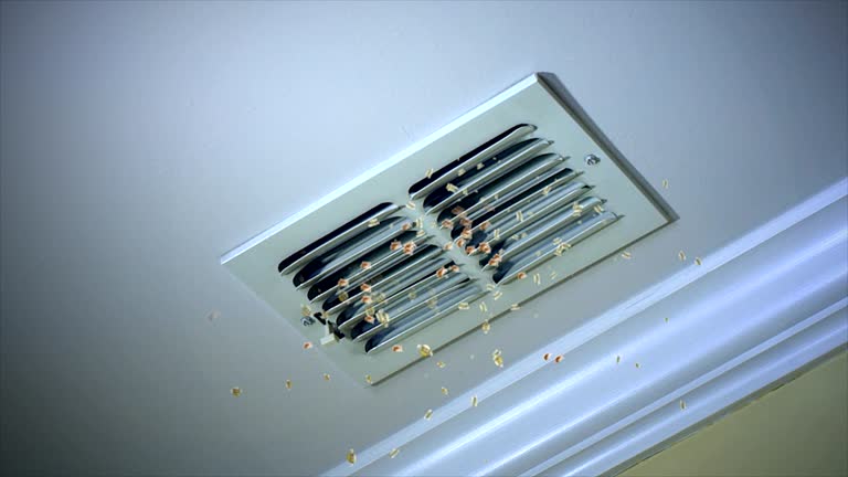 Best Professional Duct Cleaning Services  in Huntley, IL